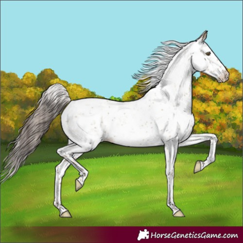 Horse Color:Classic Champagne Dun Sabino 
