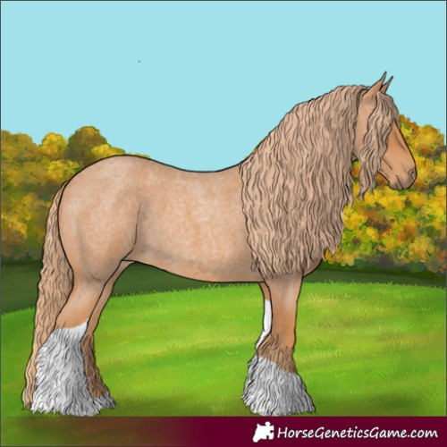 Horse Color:Red Roan Tobiano 