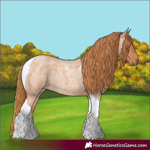 Horse Color:Red Roan Tobiano 