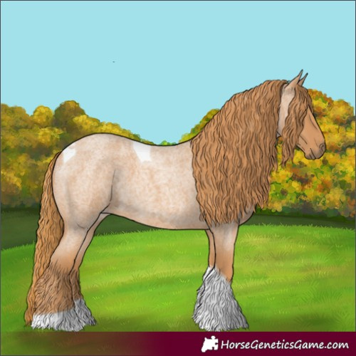 Horse Color:Red Roan Tobiano