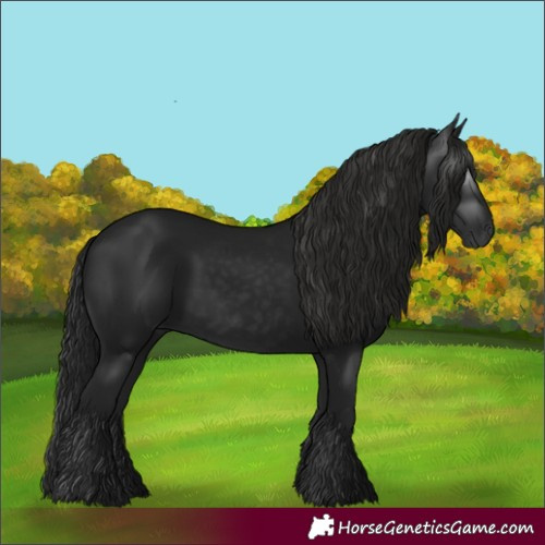 Horse Color:Gray Black 