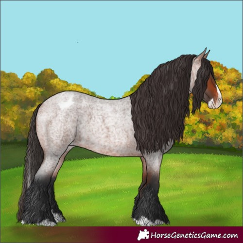 Horse Color:Bay Roan Splash Varnish 