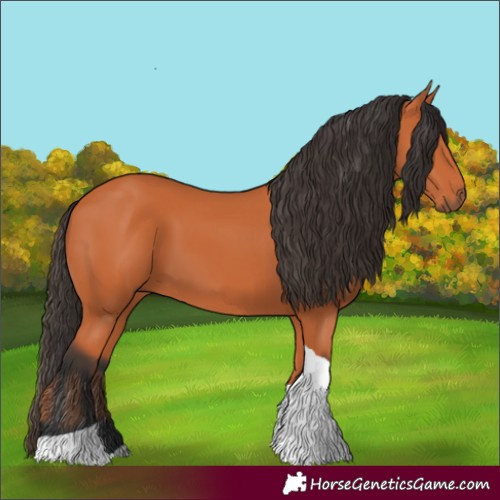 Horse Color:Bay Tobiano 