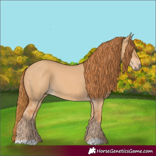 Horse Color:Red Dun 