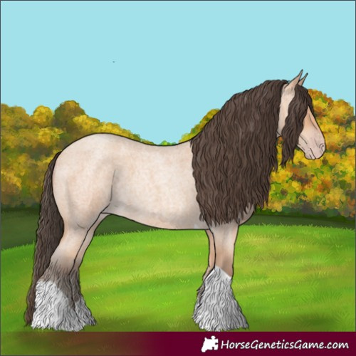 Horse Color:Amber Champagne Roan Tobiano 