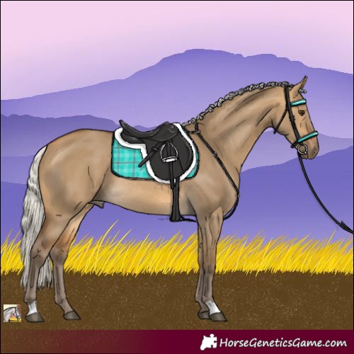Horse Color:Silver Buckskin Dun Rabicano