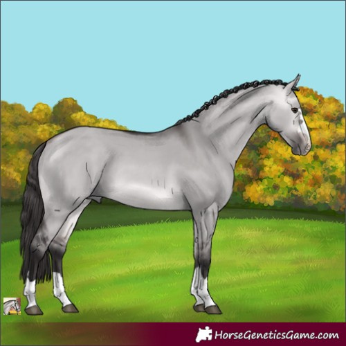 Horse Color:Platinum Buckskin Dun 