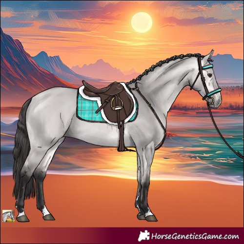 Horse Color:Platinum Buckskin Dun 
