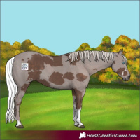 Horse Color:Silver Black Merle Tobiano