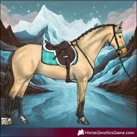 Horse Color:Buckskin Dun 