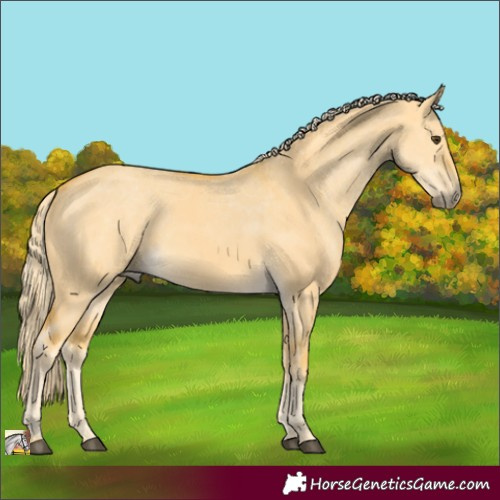 Horse Color:Palomino Dun 
