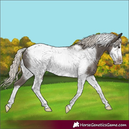 Horse Color:Silver Smoky Black Tobiano Frame Varnish Rabicano