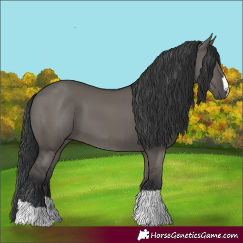 Horse Color:Grullo
