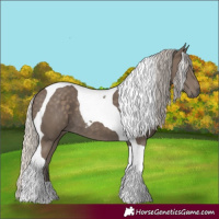 Horse Color:Silver Smoky Black Tobiano