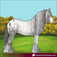 Horse Color:Powder White Brown Blanket 
