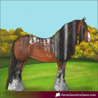 Horse Color:Powder White Bay