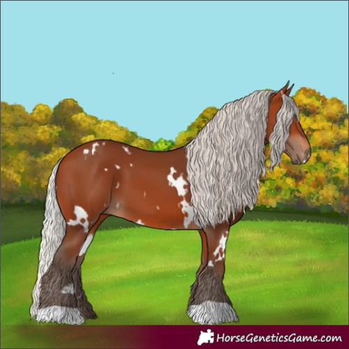 Horse Color:White Spotted Silver Bay 