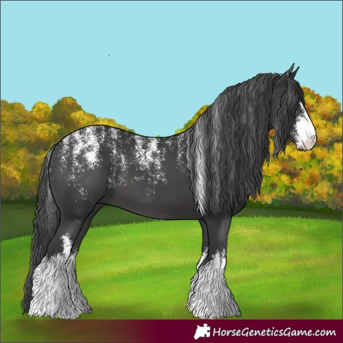 Horse Color:Unknown 