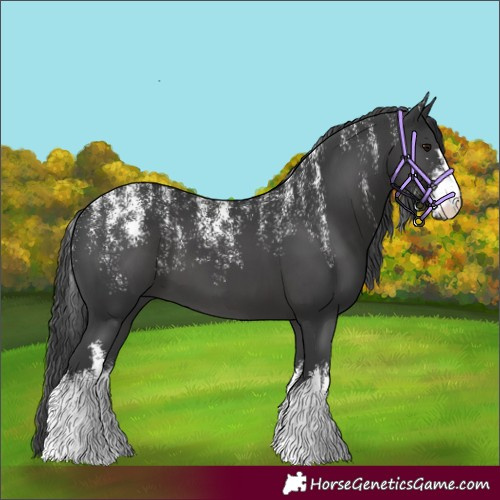 Horse Color:Powder White White Spotted Black 