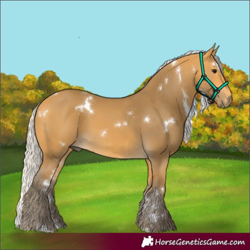 Horse Color:White Spotted Silver Buckskin