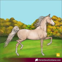 Horse Color:Gold Champagne Pearl Rabicano  and Gold Champagne Pearl Rabicano 