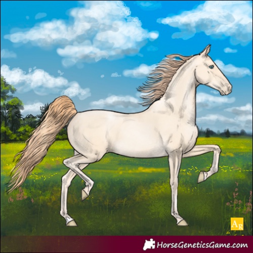 Horse Color:Classic Cream Champagne Pearl Rabicano 