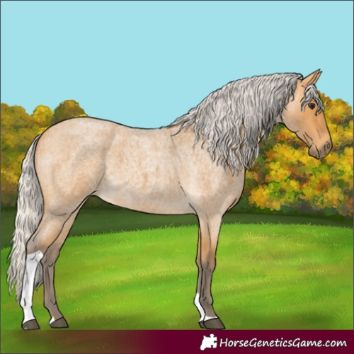 Horse Color:Silver Buckskin Roan Tobiano