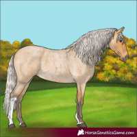 Horse Color:Silver Buckskin Roan Tobiano 