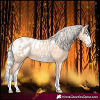 Horse Color:Silver Amber Champagne Dun Sabino Splash Blanket Rabicano 