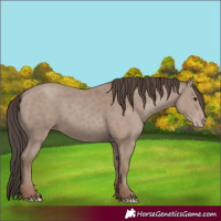 Horse Color:Classic Champagne 