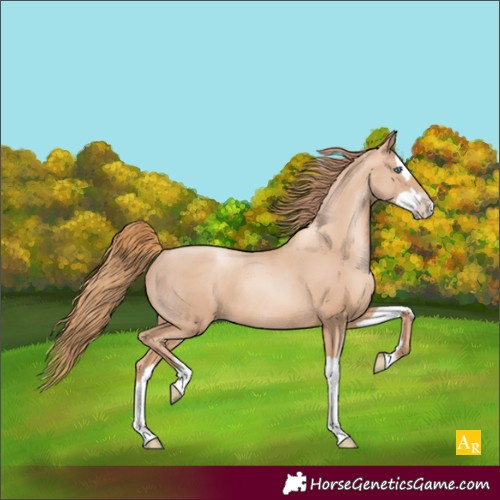 Horse Color:Gold Champagne Pearl Rabicano  and Gold Champagne Pearl Splash Rabicano 