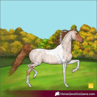 Horse Color:Red Roan Tobiano 