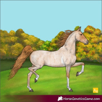Horse Color:Red Roan Tobiano