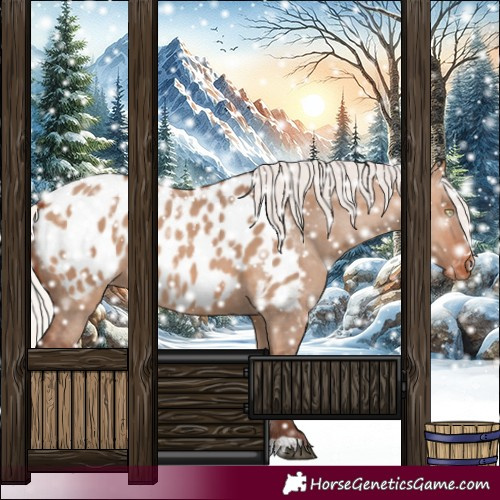 Horse Color:Silver Bay Dun Blanket Rabicano 