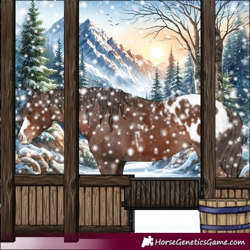 Horse Color:Liver Chestnut Blanket 