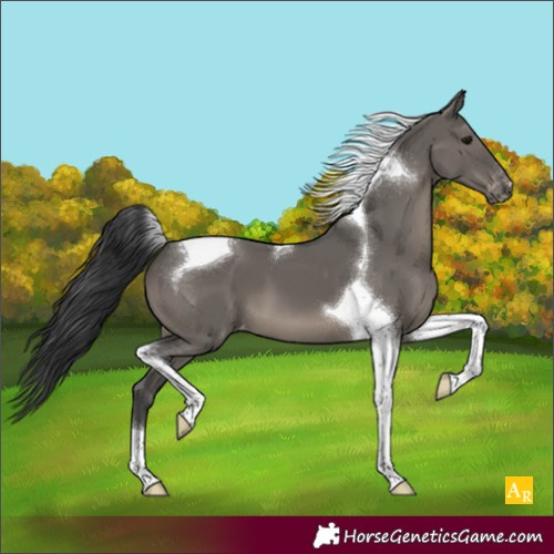 Horse Color:Grullo Tobiano Varnish 
