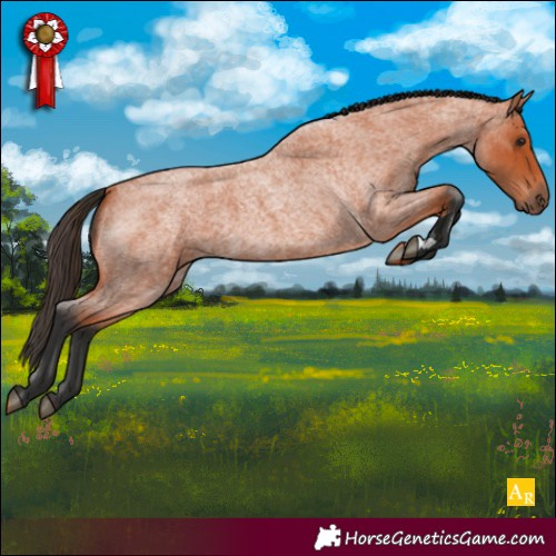 Horse Color:Bay Roan 