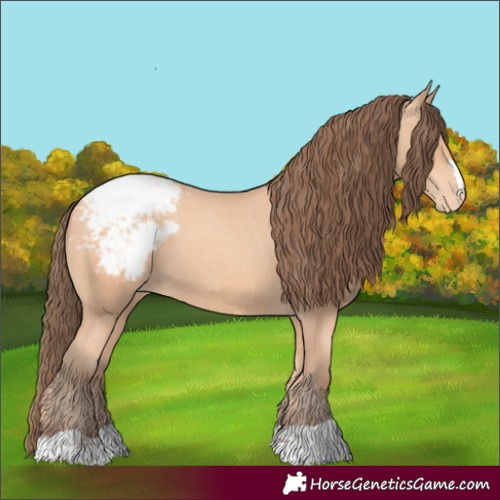 Horse Color:Unknown 