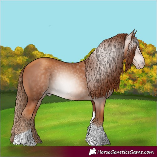 Horse Color:Gray Gold Champagne Tobiano