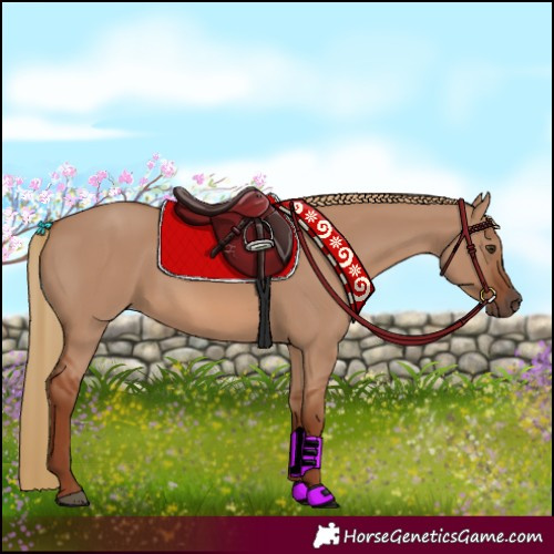 Horse Color:Red Dun 