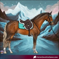Horse Color:Chocolate Palomino 