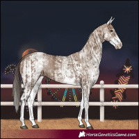 Horse Color:White Spotted Liver Red Dun Rabicano  and White Spotted Liver Red Dun Rabicano 