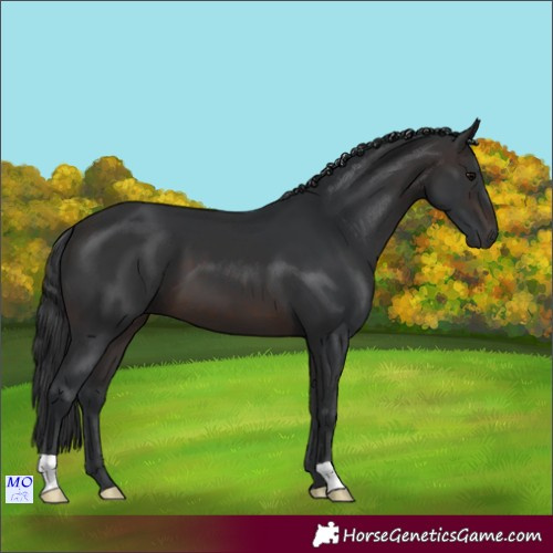 Horse Color:Brown 