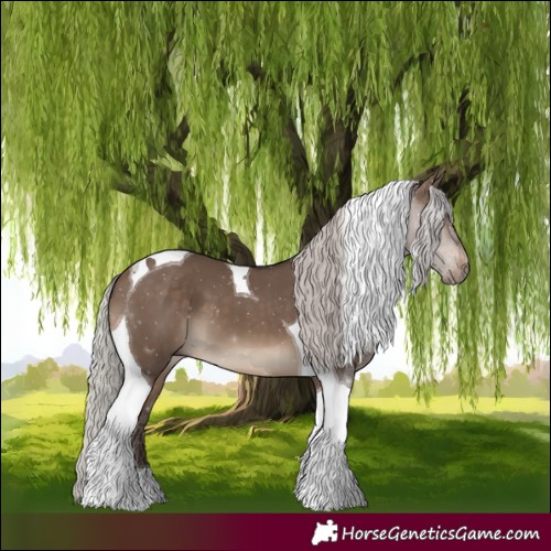 Horse Color:Silver Brown Dun Tobiano 