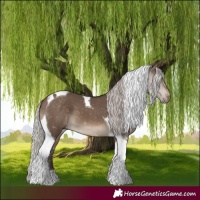 Horse Color:Silver Brown Dun Tobiano 