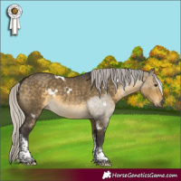 Horse Color:White Spotted Silver Buckskin Dun Tobiano 