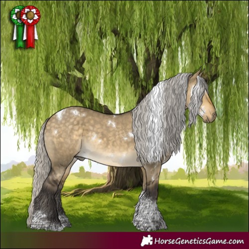 Horse Color:White Spotted Silver Buckskin Dun Tobiano 