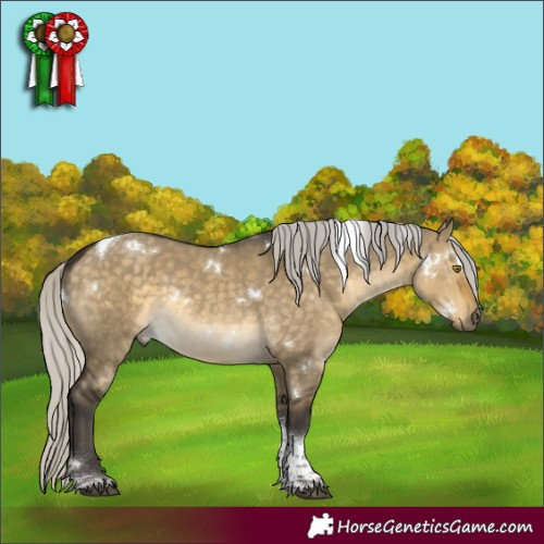 Horse Color:White Spotted Silver Buckskin Dun Tobiano 