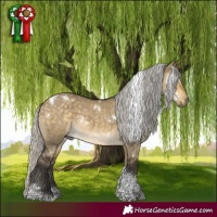 Horse Color:White Spotted Silver Buckskin Dun Tobiano
