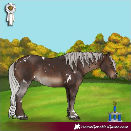 Horse Color:White Spotted Silver Brown Rabicano 